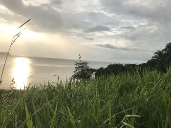 Scenic view of sea against sky during sunset