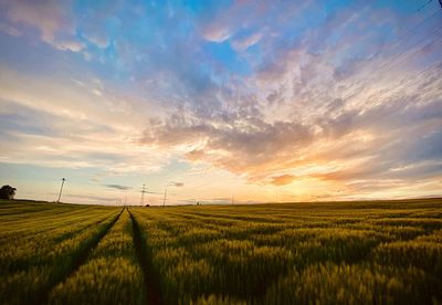 Scenic view of field against sky during sunset