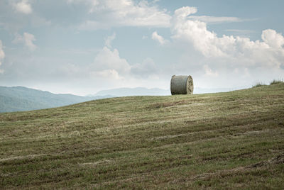 Scenic view of farm against sky