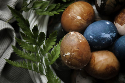 High angle view of fruits on table