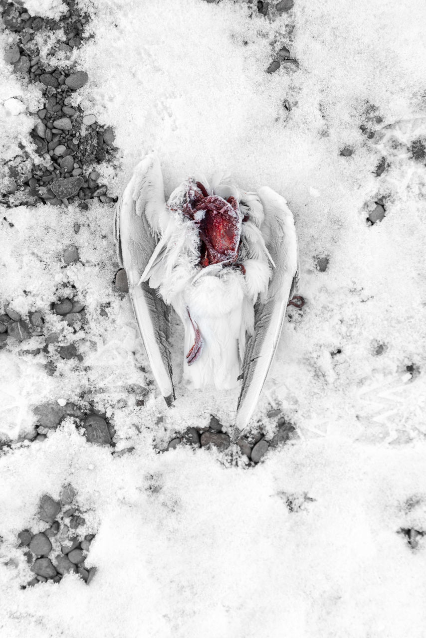 HIGH ANGLE VIEW OF SNOW ON FIELD