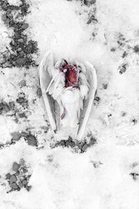 High angle view of horse on snow covered land