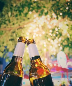 Close-up of beer bottles against illuminated trees