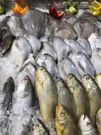 High angle view of fish for sale in market