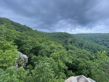 Scenic view of green landscape against sky