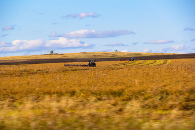 Scenic view of agricultural field against sky