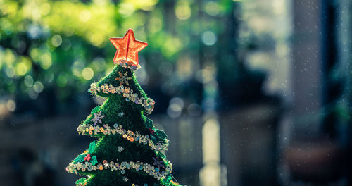 Close-up of christmas tree