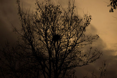 Low angle view of silhouette bare tree against sky