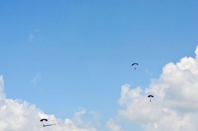 Low angle view of birds flying in sky