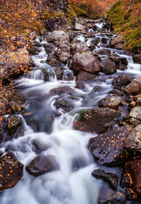 Cascade of stones with colorful autumn leaves in waterfall on lofoten islands, norway. blurred water