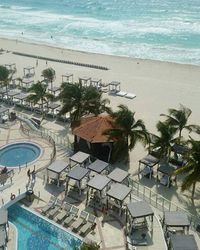 View of palm trees at seaside