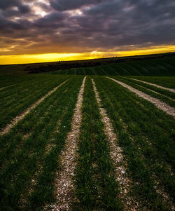 Scenic view of field against sky during sunset