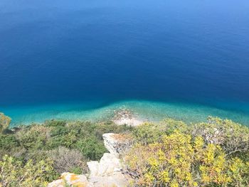 High angle view of plants by sea