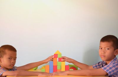 Portrait of boys playing with toy at home