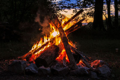 Bonfire on wooden structure in forest