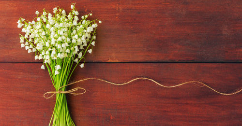 High angle view of flowering plant on table