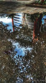 Reflection of trees in puddle during winter