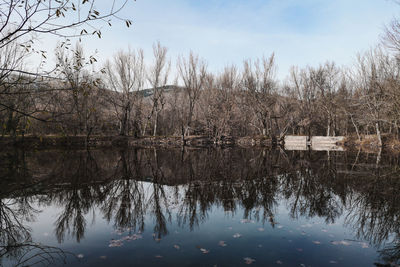 Reflection of trees in lake against sky