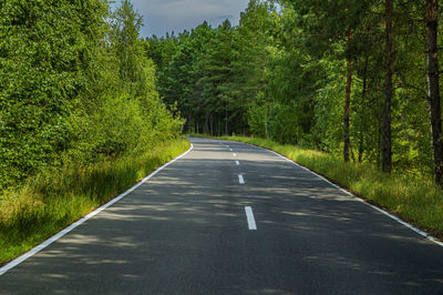 Two-lane asphalt road with white markings in the forest. 