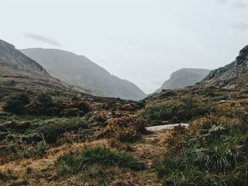 Scenic view of landscape and mountains against sky