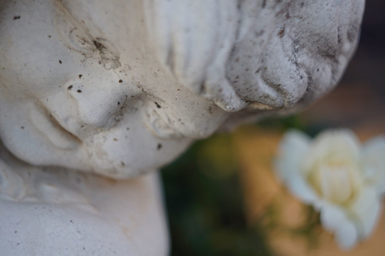 close-up, focus on foreground, no people, white color, day, sculpture, art and craft, statue, human representation, representation, selective focus, outdoors, metal, craft, creativity, still life, weathered, nature, white, protection