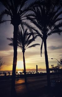 Silhouette palm trees against sky during sunset