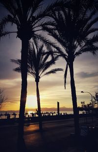 Silhouette palm trees against sky during sunset