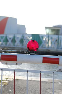 Red flower against railing in city against clear sky