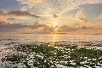 Scenic view of sea during sunset