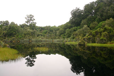 Scenic view of lake by trees against clear sky