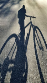 Shadow of people riding bicycle on road