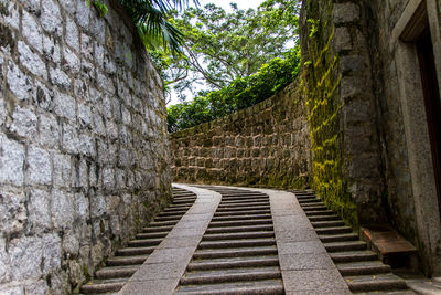 Steps amidst trees against sky