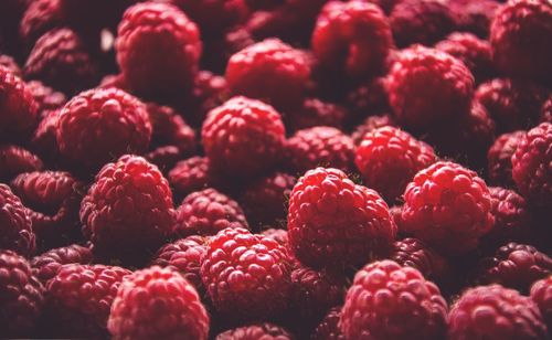 Full frame of red berries