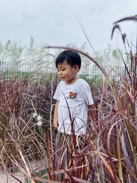 Cute asian boy in playground, meadow