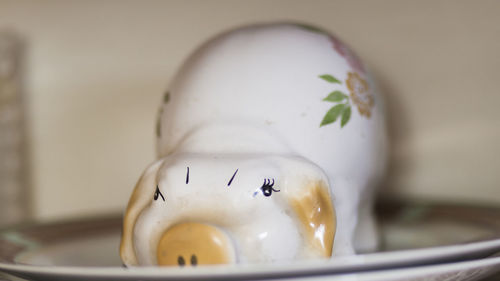 Close up of piggy bank in plate