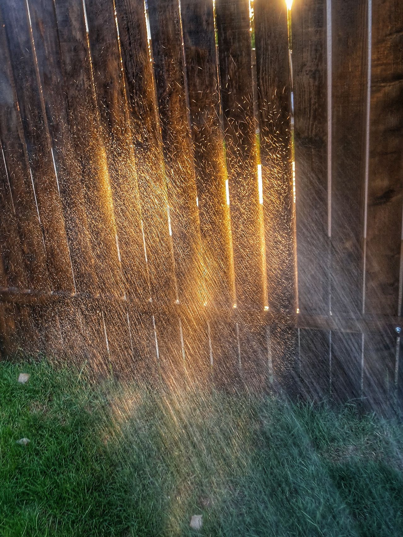 Water, splash, waterdrops, sunset, light, nature, grass, outdoor, illuminated, glowing, sunbeam