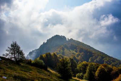 Low angle view of trees and mountains against sky