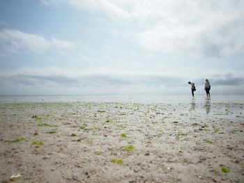 People standing on beach against sky