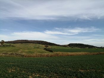 Scenic view of field against sky