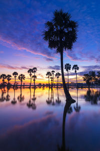 Silhouette palm trees by lake against sky during sunset