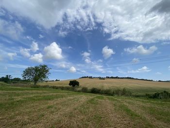 Scenic view of field against sky