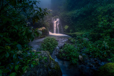 High angle view of waterfall in forest