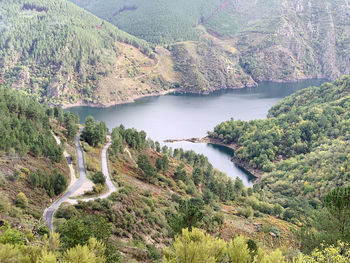 Scenic view of river amidst trees