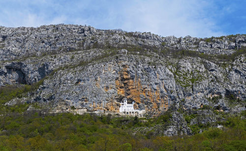 Plants growing on rock by building against sky