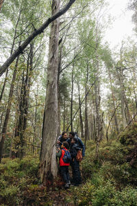 Family examining tree in forest during vacation