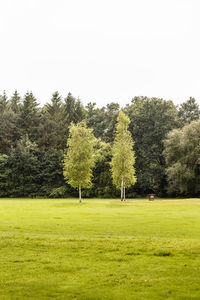 Trees on field against clear sky