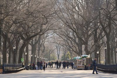 People walking in park during winter