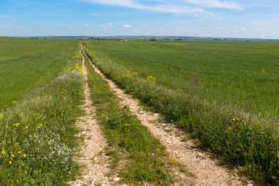 Empty pathway amidst grassy field