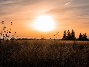 Scenic view of field against sky during sunset