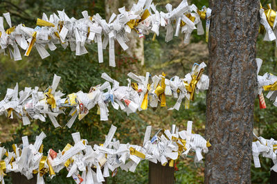 Close-up on traditional good fortune charms in a japanese temple, in the nature